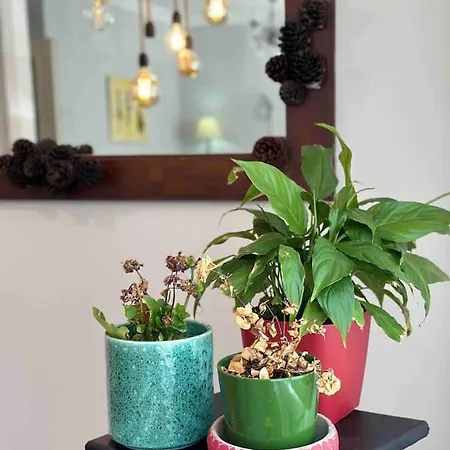 Yeldegirmeni Myhome Διαμέρισμα Κωνσταντινούπολη